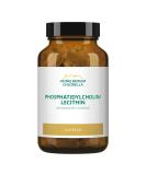 Phosphatidylcholine Lecithin Capsules - Premium Quality for Optimal Health | Buy Internationally - Buy Online on GoSupps.com