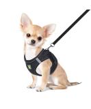 Femax Soft Mesh Dog Harness with Leash for Small & Medium Dogs | Adjustable Reflective No Pull Vest for Chihuahua & Cats - XS (26-29cm) - Black - Buy Online on GoSupps.com