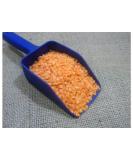 Red Lentils (masoor dal) - 300g - Buy Online on GoSupps.com