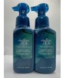 Endless Sea Foaming Hand Soap Set of 2 - Gentle & Clean 8.75 oz - International Shipping Available - Buy Online on GoSupps.com