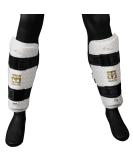 Mooto Korea Taekwondo Extera S2 Shin Protector Guard WT Logo MMA Martial Arts Kickboxing Karate Training Match Gym School Academy X_Small(length 23cm or 0.75 ft) - Buy Online on GoSupps.com