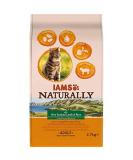 IAMS Naturally Complete Dry Cat Food for Adult 1+ Cats with Lamb and Rice 2.7 kg 2.7 kg (Pack of 1) New Zealand Lamb & Rice - Buy Online on GoSupps.com