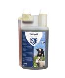 Excellent Vit Liquid Multivitamin for Cattle Pigs Horses & Sheep - Supports Heat Preparation & Reproduction - 1 Liter - Buy Online on GoSupps.com