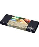 Rembrandt Soft Pastels Basic 30 Half Stick Set - 300C30.5 - Buy Online on GoSupps.com