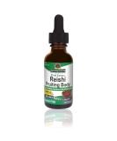 Nature's Answer Alcohol-Free Reishi Extract - Immune System Support, 1 oz - Buy Online on GoSupps.com