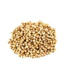 Buy Whole Coriander Seeds - 1 kg | Premium Quality Spice for International Shipping - Buy Online on GoSupps.com