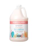 Ginger Lily Farms Moisturizing Shampoo - Champagne Mimosa Vegan & Cruelty-Free 1 Gallon Refill for All Hair Types - Buy Online on GoSupps.com