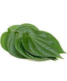 Seelans Fresh Betel Leaves | Beetle Leaves 10pcs | Pan Leaves | Leaf Betel | Fresh Leaf | Used for Pooja & Edible | Indian Origin | Approx 50G Next Day Shipping - Buy Online on GoSupps.com