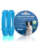 Woyamay Calming Collar for Dogs Adjustable Luminous Safety Glow Calming Dog Collar for Anxiety Relief Natural Calming Pheromone Dog Collar Lasts 60 Days Fits Small Medium Large Dog 2 Pack Blue Blue-2 Pack - Buy Online on GoSupps.com