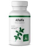 Graminex Alfalfa Tablets - Non-GMO Green Superfood Supplement with Vitamins, Minerals & Amino Acids | 240 Tablets - Buy Online on GoSupps.com