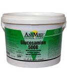 AniMed Glucosamine 5000 Powder 5 lb - Premium Joint Support Supplement - Buy Online on GoSupps.com