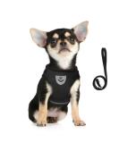 Femax Dog Harness & Linen Set: Soft Mesh Reflective Adjustable Breastware for Dogs & Cats - Perfect for Walking & Training (30-34 cm Black) - Buy Online on GoSupps.com