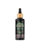Naturise Omega 3 Vegan Algae Oil - 1884mg DHA EPA & DPA - High Dose 100ml - Lab Tested Triglyceride Form - Pipette with Dosing Scale - UV Glass - Forest Fruit & Strawberry Flavor - Buy Online on GoSupps.com