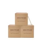 Biodegradable Cotton Swabs 1125pcs - Wooden Sticks, 2.9 Inch (Pack of 1125) - Buy Online on GoSupps.com