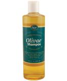 Baar Olivae Shampoo - Organic Olive Oil Formula for Nourishing & Repairing Hair | Aloe Vera & Jojoba Oil | 16.5 Fl Oz - Buy Online on GoSupps.com