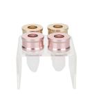 Agatige 4 Style Silicone Lipstick Mold | 12mm DIY Lipstick Making Kit for Homemade Lip Balm & Cream - Buy Online on GoSupps.com