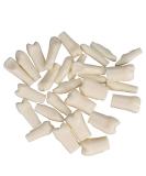 Dental Simulator Manikin Phantom Head - Training & Study Typodont Model with Removable 28 Teeth for Dental Exercises - Buy Online on GoSupps.com