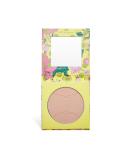 Winky Lux Matte Point Face Powder - Translucent Setting Powder  Face Powder Compact and Pore Minimizer  Pressed Powder Makeup - Buy Online on GoSupps.com