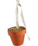 JR FARM Birds Clay Pot for Budgerigars & Canaries - 80g | Premium Bird Treats | International Shipping - Buy Online on GoSupps.com