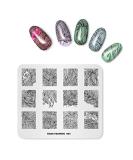 Flower Hair Braid Twist Nail Stamper Tool | Multi-Pattern Stamping Plate FA004 - Buy Online on GoSupps.com