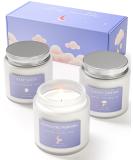 Fragrance Candles Gift Set for Women & Men | 3 Aromatherapy Candles in Glass | Perfect Christmas Gifts for Anxiety Relief (Blue 300g) - Buy Online on GoSupps.com