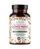 Plant.O Premium Lion's Mane Nootropic Brain Supplement - 5 Mushroom Complex for Immunity, Focus & Memory Boost - 90 Caps - Buy Online on GoSupps.com