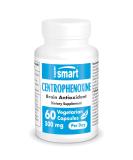 SuperSmart Centrophenoxine 500mg - Nootropic Supplement (DMAE & pCPA) | Non-GMO Gluten Free 60 Vegetarian Capsules - International Shipping Available - Buy Online on GoSupps.com