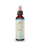 Bach Chicory Flower Essence 20mL: Unconditional Love, Holistic Wellness Relief - Vegan & Natural - Buy Online on GoSupps.com