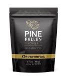 Surthrival Wild Harvested Pine Pollen Powder (48g) - Natural Energy & Endurance Restoration - Buy Online on GoSupps.com