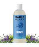 After Swim Shampoo for Kids & Adults - Chlorine Removal Clarifying Shampoo with Tea Tree & Rosemary - Gentle Swim Shampoo for Swimmers - Buy Online on GoSupps.com