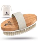 Lebr ke Dry Brush Bath Brush - With Practical Storage Bag - Perfect for Removing Dead Skin - Exfoliating Body Brush Exfoliating Brush - Buy Online on GoSupps.com