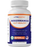 Vitamatic Akkermansia Muciniphila Gut Health Capsules - 60 Delayed Release Capsules with Prebiotic Inulin Fiber | Boost Digestive Wellness - Buy Online on GoSupps.com