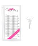 5D Volume Eyelash Compartments - Premade Lash Fans for Extensions | 3-8D Silk Flasher 0.07/0.10 Thickness C/D Curl 10-18mm | International Shipping - Buy Online on GoSupps.com