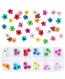 UNIME 12 Colors Mini Real Dried Flowers Nail Art Supplies - 3D Applique Decoration Sticker for Manicure Tips - Buy Online on GoSupps.com