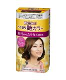 Kao Blaune Easy Painting Gloss Hair Color - 4 Light Brown (Green Tea Set) - Buy Online on GoSupps.com