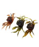 3Pcs 3D Simulation Crab Soft Lures with Sharp Double Hooks for Sea Fishing - Style3 - Buy Online on GoSupps.com
