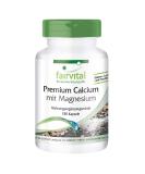 Fairvital Premium Calcium Magnesium Capsules - 180 High Dose Capsules with Oyster Shell Powder - 3 Month Supply | International Shipping - Buy Online on GoSupps.com