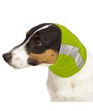 Insect Shield Reflective Pet Gaiter with Insect Protection for Protecting Dogs from Fleas Ticks & Mosquitoes Green Small Green 12-Inch by 16-Inch - Buy Online on GoSupps.com