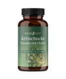 Buy Artichoke Extract Capsules 2400mg - High Dose 6:1 with Choline for Liver Support - 2.5% Cynarin - International Shipping Available - Buy Online on GoSupps.com