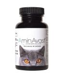 AminAvast Kidney Support Supplement for Cats and Dogs, 300mg - Promotes Natural Kidney Function - Aids in Health and Vitality of Aging Kidneys - Easily Administered - 60 Sprinkle Capsules - Buy Online on GoSupps.com