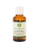 R V Essential Pure Chaulmoogra Carrier Oil 50ml (1.69oz)- Hydnocarpus Wightiana (100% Pure and Natural Cold Pressed) - Buy Online on GoSupps.com