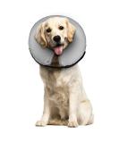 Buy Supet Rewrise Dog Inflatable Collar - Soft Leak Protection for Post-Op Dogs | Gray - Size S (17.8-25.4 cm) - International Shipping Available - Buy Online on GoSupps.com