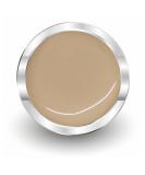 NAILFUN PRIME Colour Gel 291 Cameo Beige - UV/LED Gel 5ml - Premium Nail Polish for Professional Manicures - Buy Online on GoSupps.com