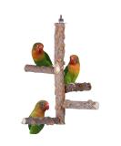 Natural Wood Bird Perch Stand for 3-4 Small/Medium Parrots - Birdcage Accessories - Buy Online on GoSupps.com