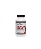 Buy Beverly International Muscle Mass - 150 Tablets | BCAA for Lean Muscle & Recovery | 2.5:1:1 Ratio - Free Shipping Worldwide - Buy Online on GoSupps.com