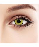 Dolovo Colored Contact Lenses for Cosplay - 12 Month Yellow Black Border (1 Piece) - Zombie Vampire Anime & Carnival - Buy Online on GoSupps.com