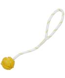 Trixie 33481 Natural Rubber Ball on Rope - Floats 4.5 Diameter for Dogs | International Shipping Available - Buy Online on GoSupps.com