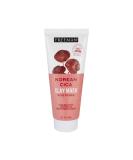 Freeman Exotic Blends Korean Cica Clay Face Mask - Acne Relief Skin Calming All Skin Types 6 fl. oz | Clean Skincare - Buy Online on GoSupps.com