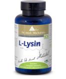 Buy L-Lysine 500 mg - 120 Capsules - Essential Amino Acid - No Additives - Dr. med. Michalzik - Biotikon  - Buy Online on GoSupps.com