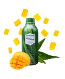 Univera Aloe Select  Prebiotic Supplement  Boosts Immune Support  Digestive Enzymes for Gut Health  Formulated w Aloe Vera  Reduces Inflammation  Mango Flavor  30 Day Supply Mango 33 Fl Oz (Pack of 1) - Buy Online on GoSupps.com